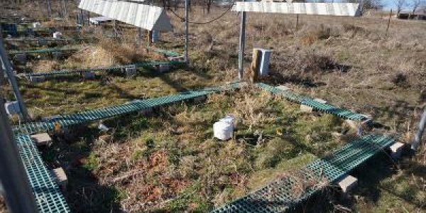 Soil Microbes Alter DNA In Response To Warming