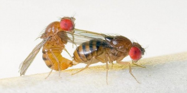 Attractive Females Harmed By Male Sexual Harassment