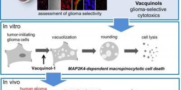 New Approach Makes Cancer Cells Explode