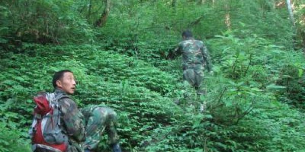 What Makes Or Breaks Environmental Collective Actions