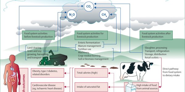 The Lancet: Public Health Benefits of Strategies To Reduce Greenhouse Gas Emissions