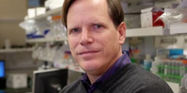 Live Feed Into Our Bodies