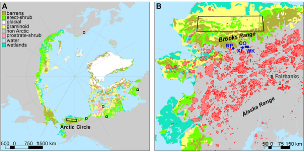 Study: Arctic Tundra Could Become More Susceptible To Fire And Release Even More CO2