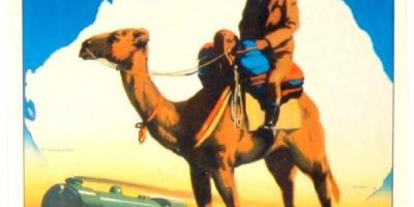 What Do You Do With 1 Million Feral Camels?