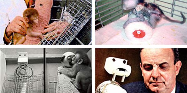 The World's Maddest Scientists (Part Two)