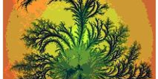 Who’s Smarter: Chimps, Baboons or Bacteria?  The Power of Group IQ  ( Part I )