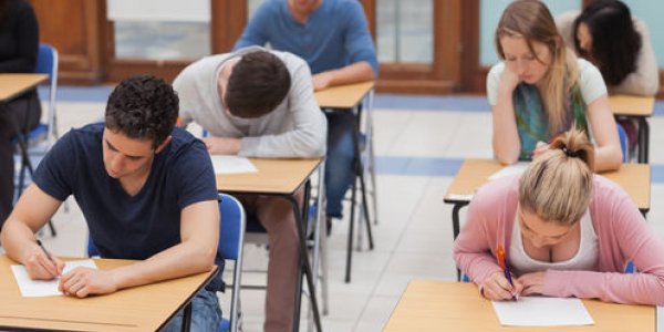 How Genes Influence Children’s Exam Results