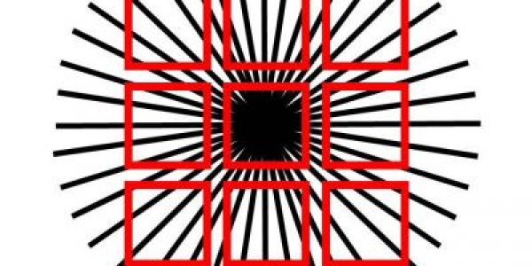 Our Visual System Has 'Future Seeing' Powers - Study