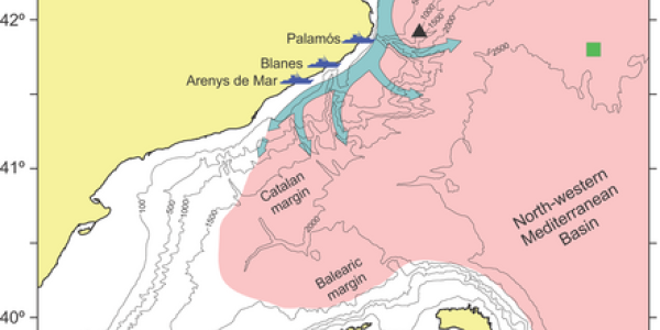 Climate Influence on Deep Sea Populations