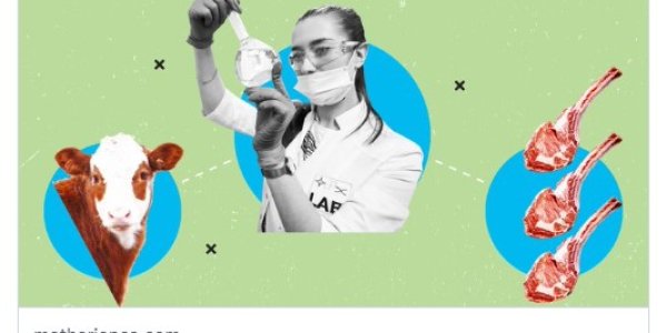 Organic Industry Journalists Want To Make Sure 'No Kill' Meat Never Enters The Market