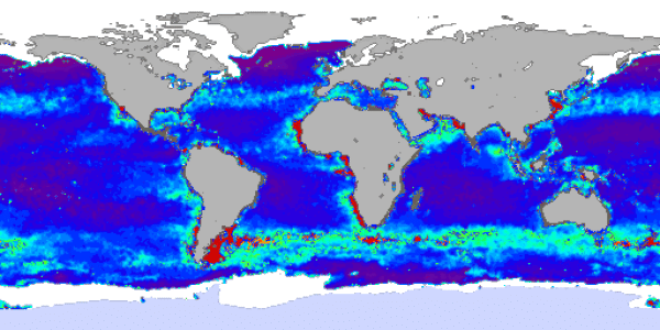 Arctic Ice 2010 #2 - What People Are Saying