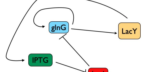 Engineering A Cell Switch