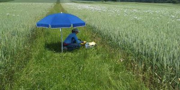 Organic Farms Boost Biodiversity