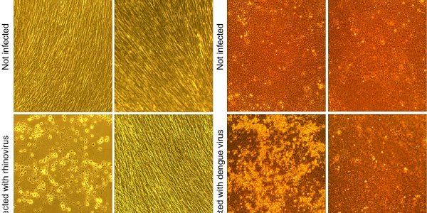 Scientists Versus Journalists - Again