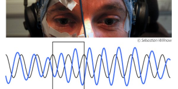 Acoustic Stimulus: Neural Oscillations Optimize Human Listening Behavior