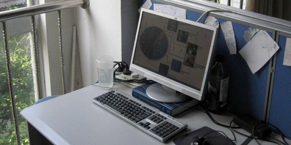 My Workplaces: Mad Scientist Lab versus Chinese Red Banners