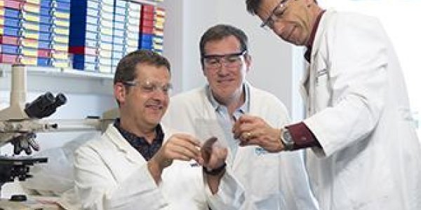 In 2014, Over 80 Percent Of Bowel Cancers Are Halted With Medicines