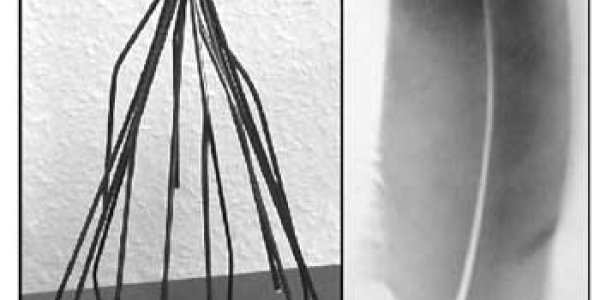 What Gives People 'The Chills' ?