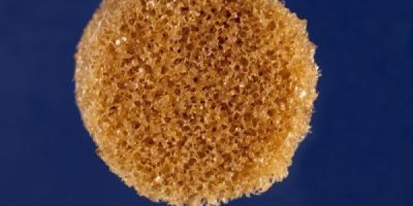 Shape-Shifting Material For Facial Reconstruction