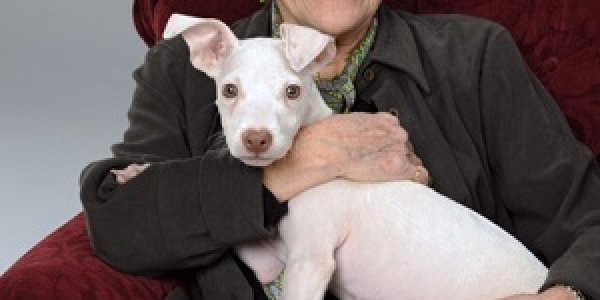 Happy Birthday, Marge!