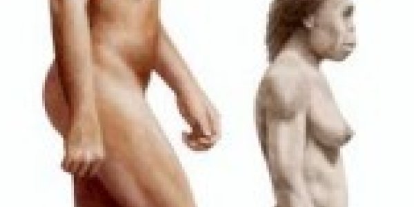 Homo Floresiensis: Hobbit Species Continues To Provoke Questions About Human Evolution