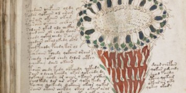The Voynich Manuscript : Not So Mysterious ?
