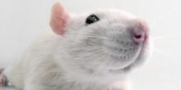 The Industry Funding Behind Anti-GMO Activist Gilles-Éric Séralini