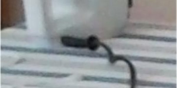 Technology Challenge: Identify This Mystery Steampunk Object