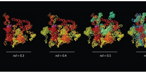'RNA World' Hypothesis Gets A Challenge