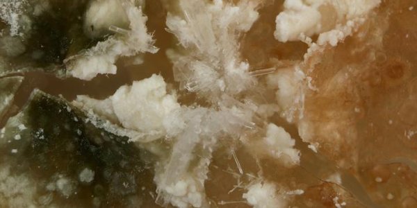 Human Exceptionalism: Earth's Mineralogy Unique In The Cosmos