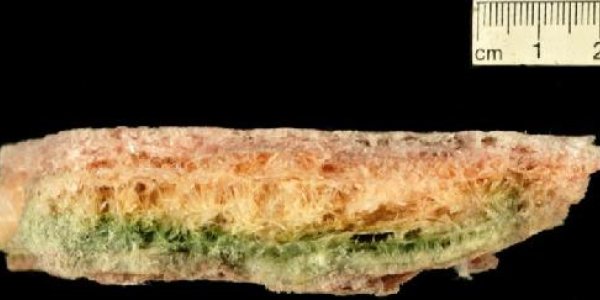 Earth's Ancient Climate More Sensitive To CO2 Than Previously Thought