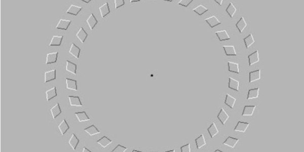 Best Illusion. Ever.