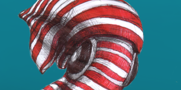 You Learn Something New Every Day . . .