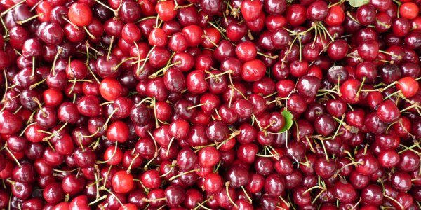 Music communicates much more