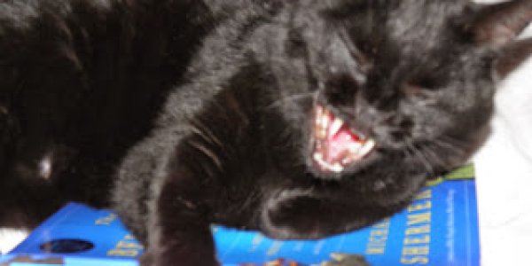 A Long Time Reading: Michael Shermer's Always Worth It