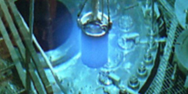 Redo Your Periodic Table: Superheavy Elements In The Island Of Stability