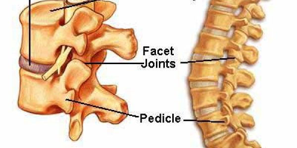 Ending Back Pain With Bio-Engineered Discs