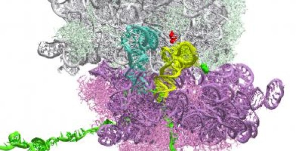 Did A Meteorite Cause The Existence Of Left-Handed Amino Acids?