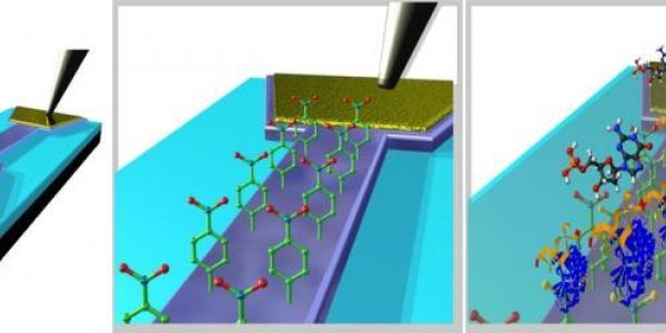 Graphene Sensor Tracks Down Cancer Biomarkers