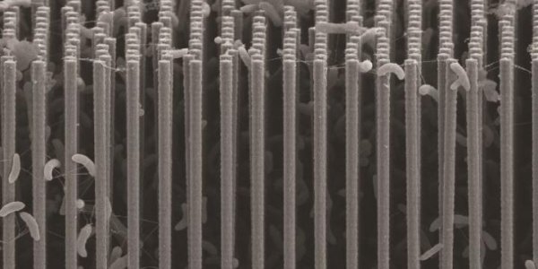 Artificial Photosynthesis: Solar-Powered Green Chemistry Rehabilitates CO2