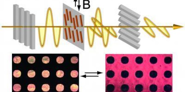 21st Century Billboards: Chemists Develop Magnetically Responsive Liquid Crystals