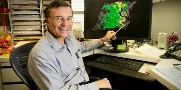 Astrocytes, The Brain's Lesser Known Cells, Get Some Cognitive Respect