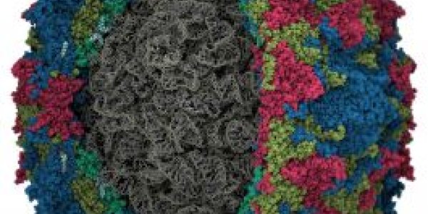 Is Eradicating Polio Realistic?