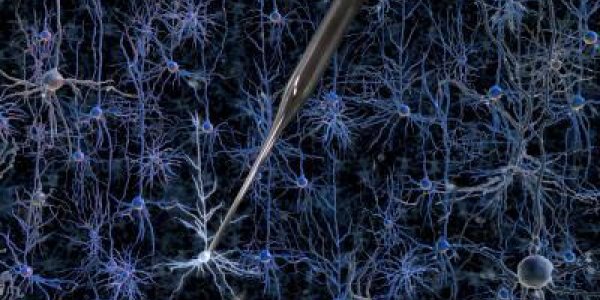 What Robots Can Tell Us About Brain Cells