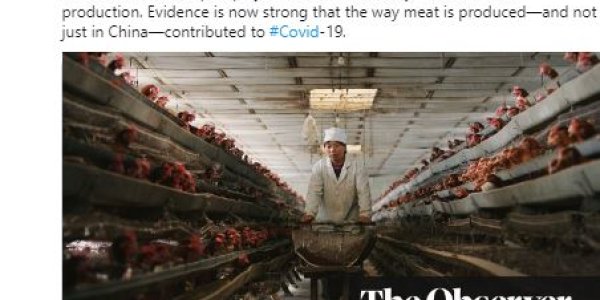 How Robert F. Kennedy Jr. And American Activists Are Spinning Coronavirus For Their Agenda