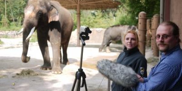 Teaching An Elephant To Speak Korean