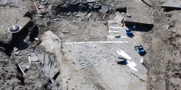 Unique 240 Million Year-Old Ichthyosaur Fossil Goes On Display