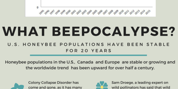 What Beepocalypse?