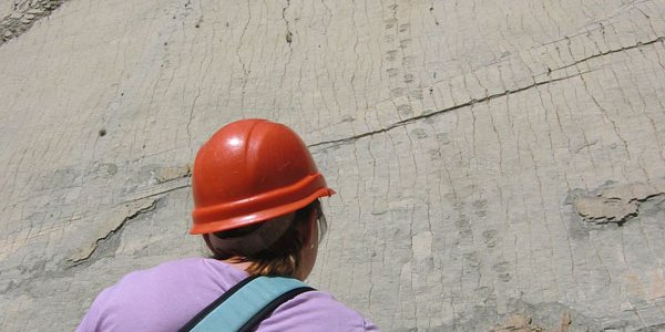 So Dinosaurs Can Climb Walls Now?