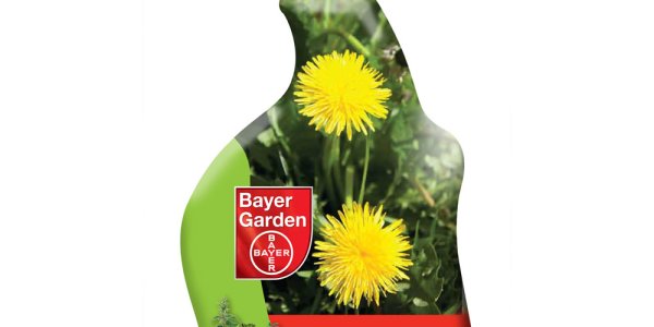 What Is Exogenous Semiotic Entropy ?